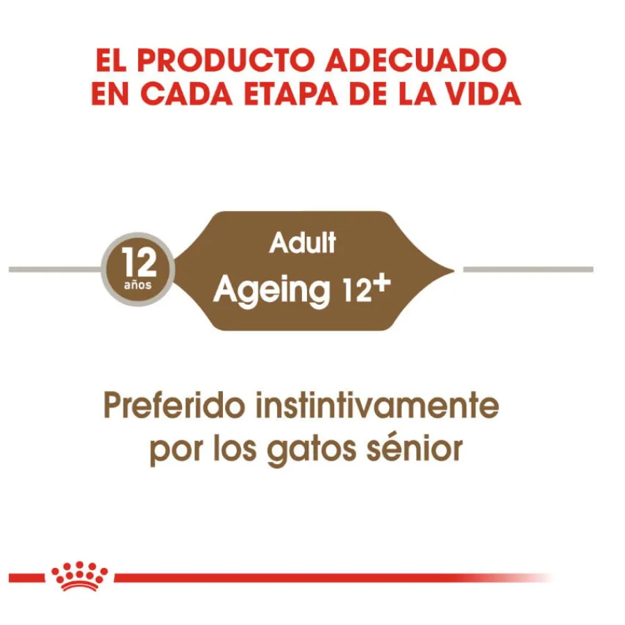 Royal Canin Ageing 12+ sobre en salsa para gatos Best