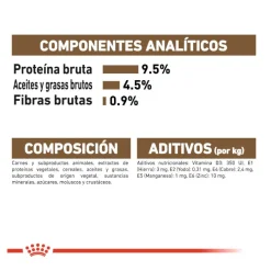 Royal Canin Ageing 12+ sobre en salsa para gatos Best