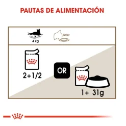Royal Canin Ageing 12+ sobre en salsa para gatos Best