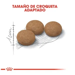 Royal Canin Ageing 12+ Sterilised pienso para gatos Discount
