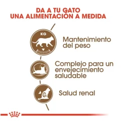 Royal Canin Ageing 12+ Sterilised pienso para gatos Discount