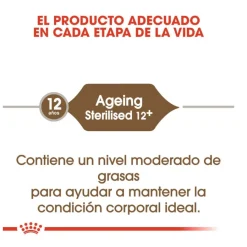 Royal Canin Ageing 12+ Sterilised pienso para gatos Discount