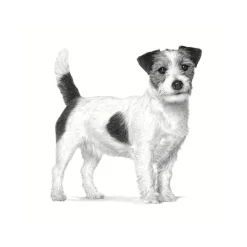 Royal Canin Anallergenic Small pienso para perros Clearance