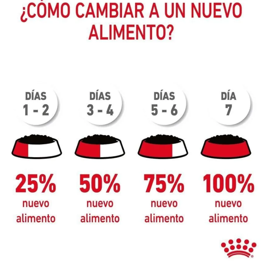 Royal Canin Appetite Control Care salsa sobre para gatos Outlet