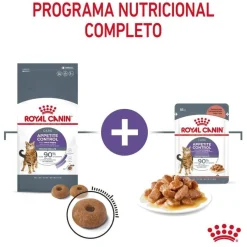 Royal Canin Appetite Control Care salsa sobre para gatos Outlet
