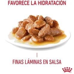 Royal Canin Appetite Control Care salsa sobre para gatos Outlet