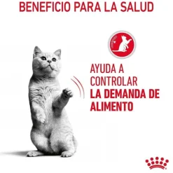 Royal Canin Appetite Control Care salsa sobre para gatos Outlet