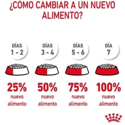 Royal Canin Appetite Control Care pienso para gatos Hot
