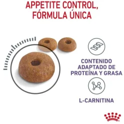 Royal Canin Appetite Control Care pienso para gatos Hot