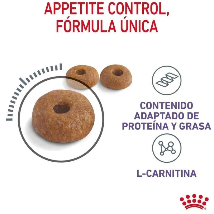Royal Canin Appetite Control Care pienso para gatos Hot