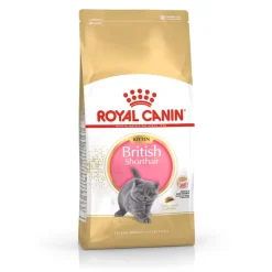 Royal Canin British Shorthair Kitten pienso para gatos Best