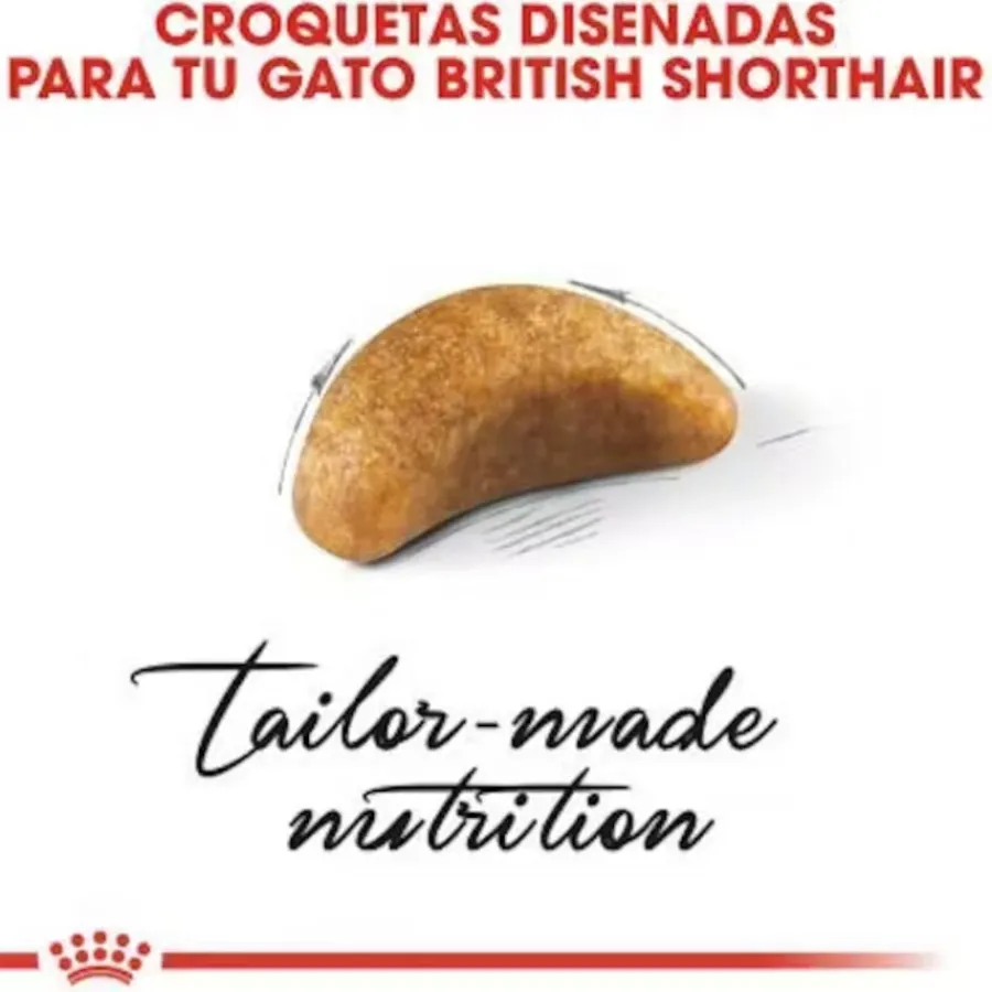 Royal Canin British Shorthair Kitten pienso para gatos Best