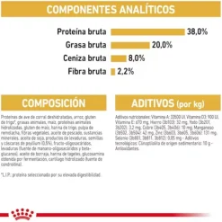 Royal Canin British Shorthair Kitten pienso para gatos Best