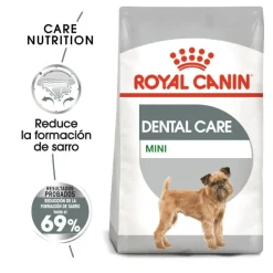 Royal Canin Dental Care Mini pienso para perros Hot