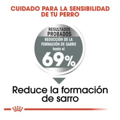 Royal Canin Dental Care Mini pienso para perros Hot