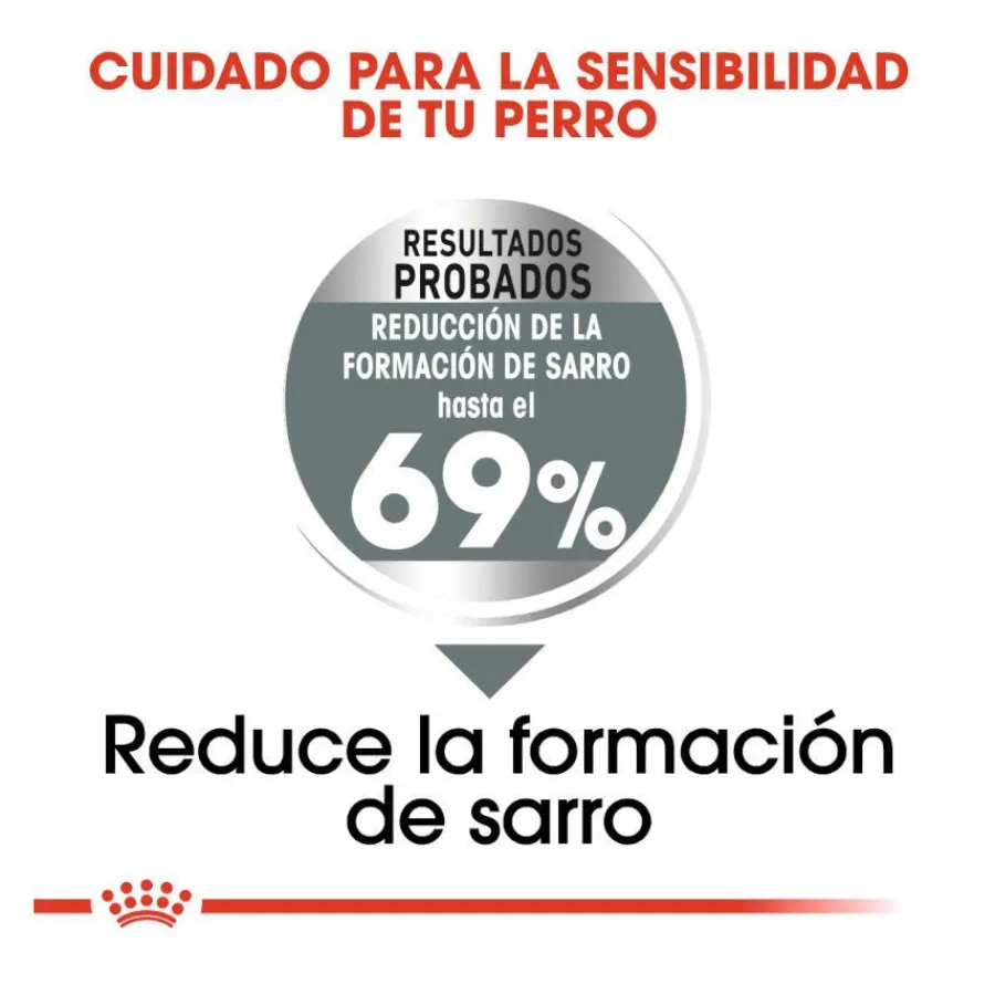 Royal Canin Dental Care Mini pienso para perros Hot