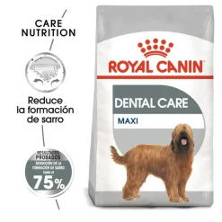 Royal Canin Dental Care Maxi pienso para perros New