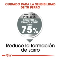Royal Canin Dental Care Maxi pienso para perros New