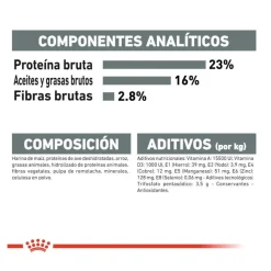 Royal Canin Dental Care Maxi pienso para perros New