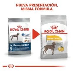 Royal Canin Dermacomfort Maxi pienso para perros Best