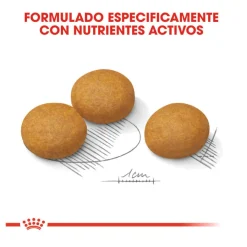 Royal Canin Dermacomfort Maxi pienso para perros Best