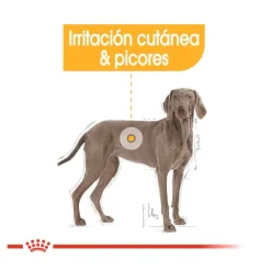 Royal Canin Dermacomfort Maxi pienso para perros Best
