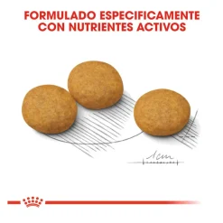 Royal Canin Dermacomfort Medium pienso para perros New