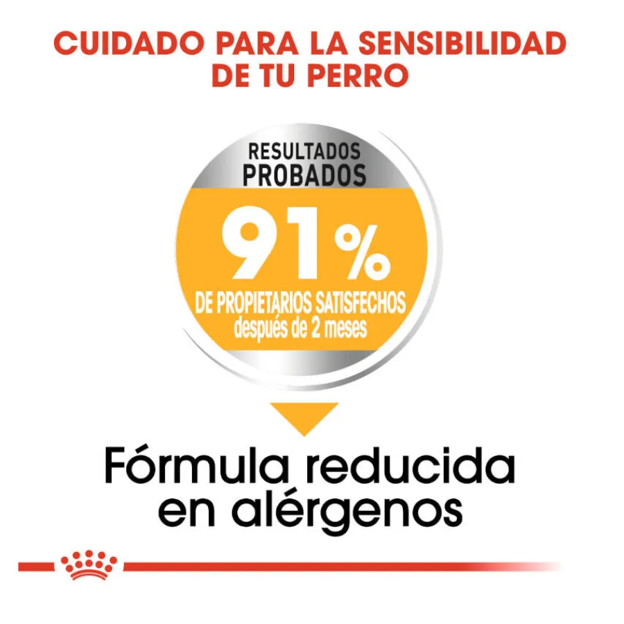 Royal Canin Dermacomfort Medium pienso para perros New