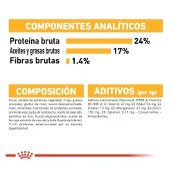 Royal Canin Dermacomfort Medium pienso para perros New
