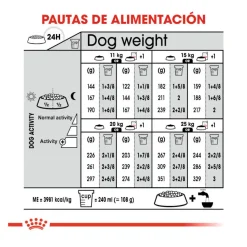 Royal Canin Dermacomfort Medium pienso para perros New