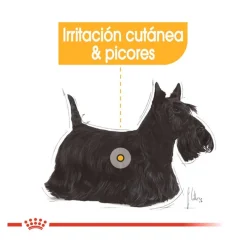Royal Canin Dermacomfort Sobres Paté para perros Discount