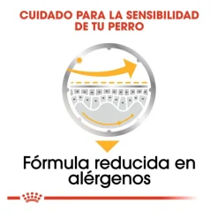 Royal Canin Dermacomfort Sobres Paté para perros Discount