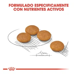 Royal Canin Dermacomfort Mini pienso para perros Discount