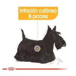 Royal Canin Dermacomfort Mini pienso para perros Discount