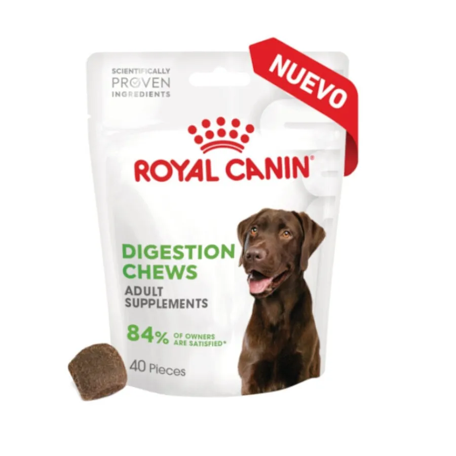 Royal Canin Digestion Chews Suplemento Nutricional para perros con sensibilidad New