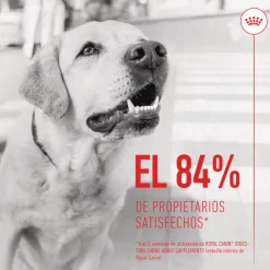 Royal Canin Digestion Chews Suplemento Nutricional para perros con sensibilidad New