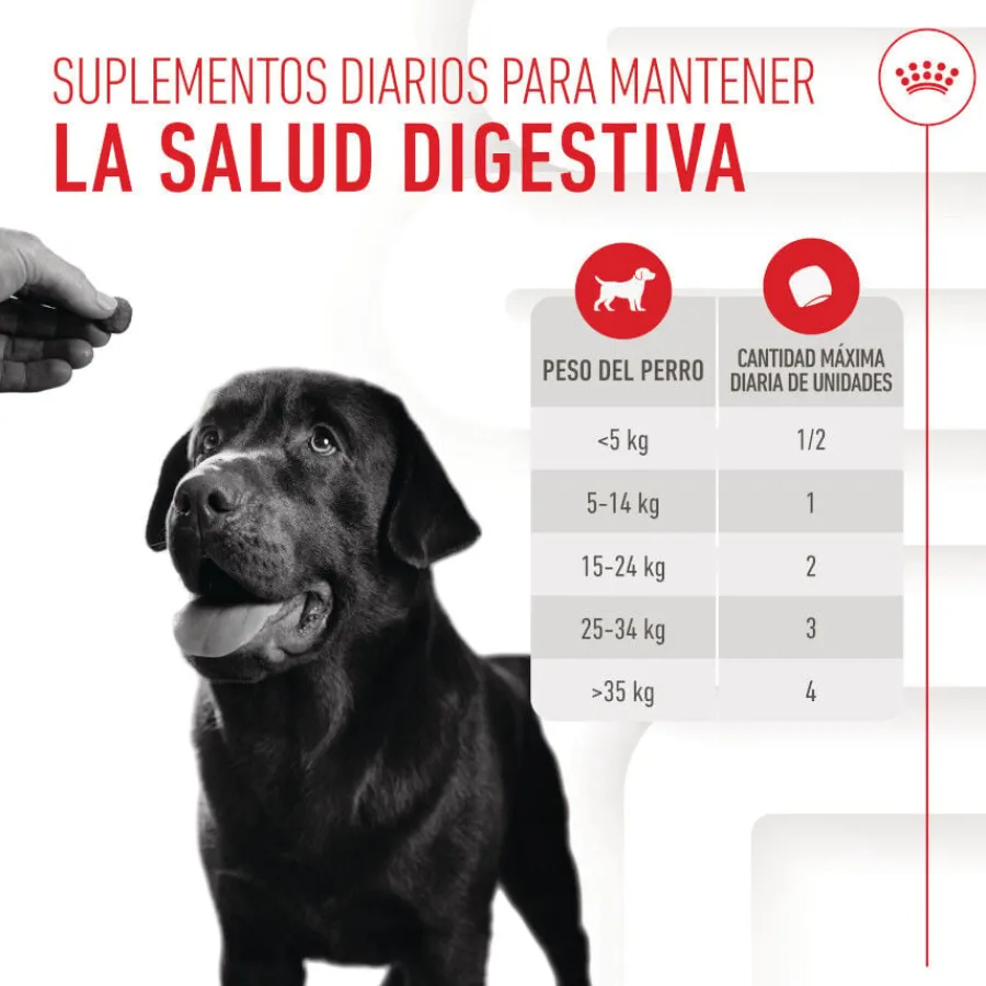 Royal Canin Digestion Chews Suplemento Nutricional para perros con sensibilidad New
