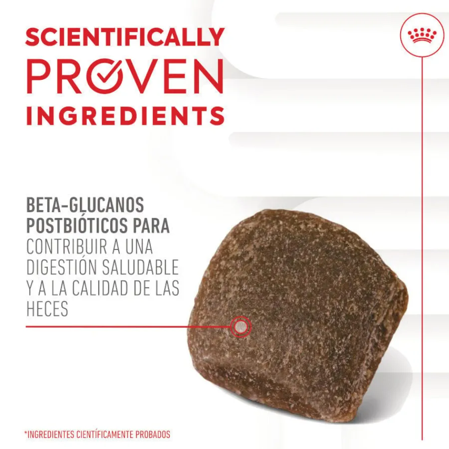 Royal Canin Digestion Chews Suplemento Nutricional para perros con sensibilidad New