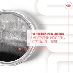 Royal Canin Digestion Chews Suplemento Nutricional para perros con sensibilidad New