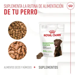 Royal Canin Digestion Chews Suplemento Nutricional para perros con sensibilidad New