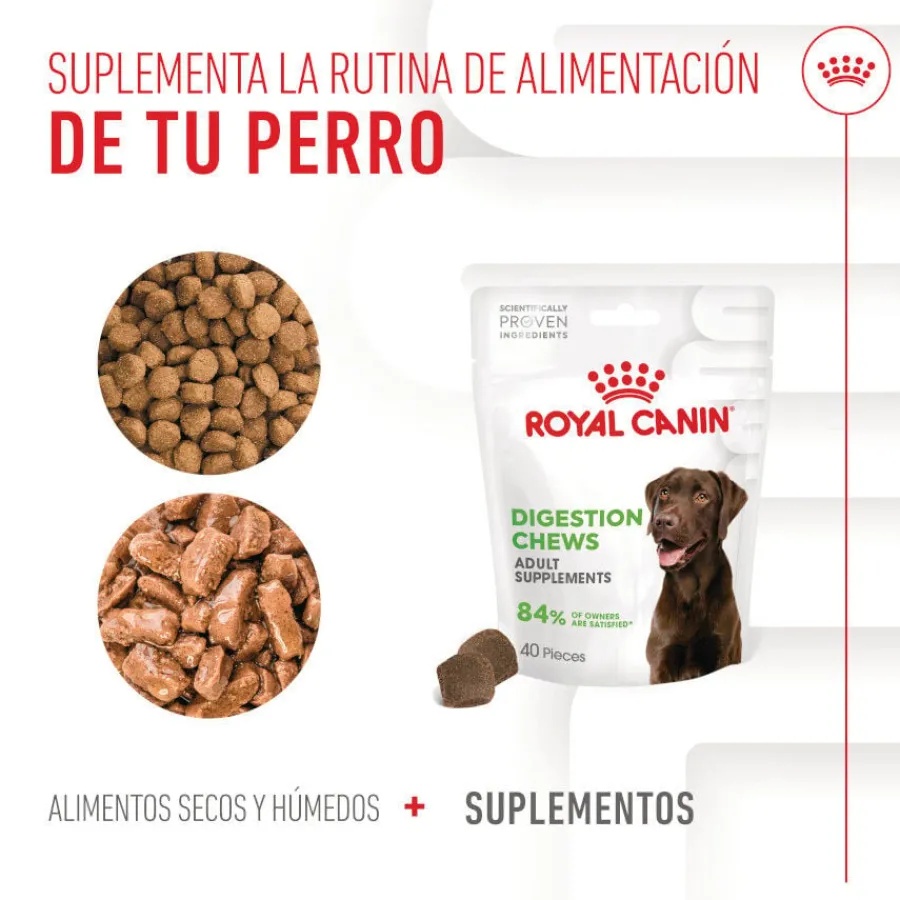 Royal Canin Digestion Chews Suplemento Nutricional para perros con sensibilidad New