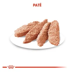 Royal Canin Digestive Care Paté sobres para perros Clearance