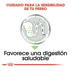 Royal Canin Digestive Care Paté sobres para perros Clearance