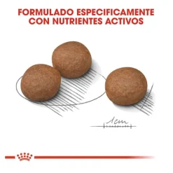 Royal Canin Digestive Care Medium pienso para perros Outlet