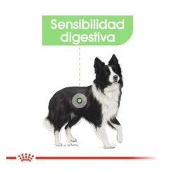 Royal Canin Digestive Care Medium pienso para perros Outlet