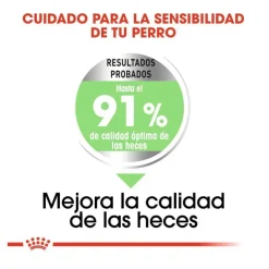 Royal Canin Digestive Care Medium pienso para perros Outlet