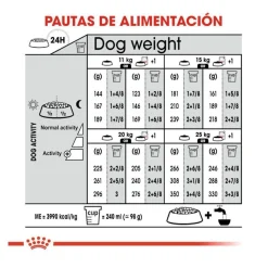 Royal Canin Digestive Care Medium pienso para perros Outlet