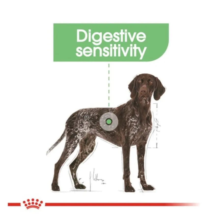 Royal Canin Digestive Care Maxi pienso para perros