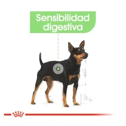 Royal Canin Digestive Care Mini pienso para perros Clearance