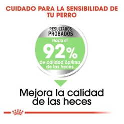Royal Canin Digestive Care Mini pienso para perros Clearance